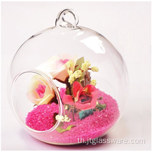 Terrariums Terrariums Airplant แก้วเป่าเป่าปาก